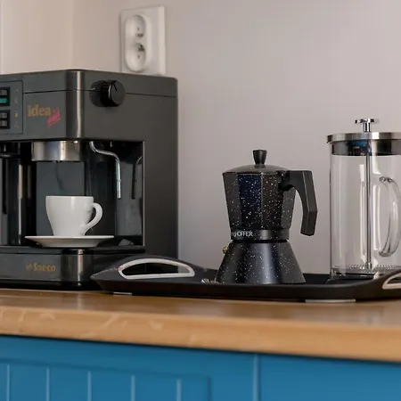 Charming With Desk In Downtown Cracow By Renters *